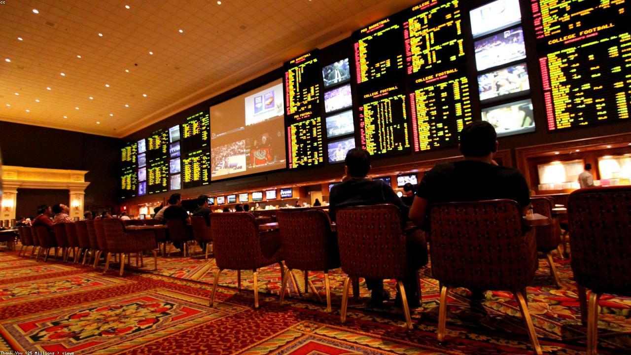 Dhoni88 Sportsbook Interface