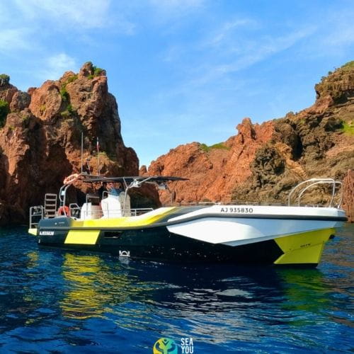 Sea You Sun (2025-04-29_1.jpg)